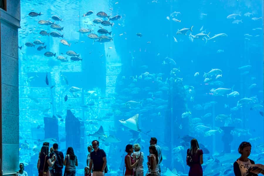 Dubai Combo: Morning City Tour & Evening Desert Safari - Key highlights that make this day work
