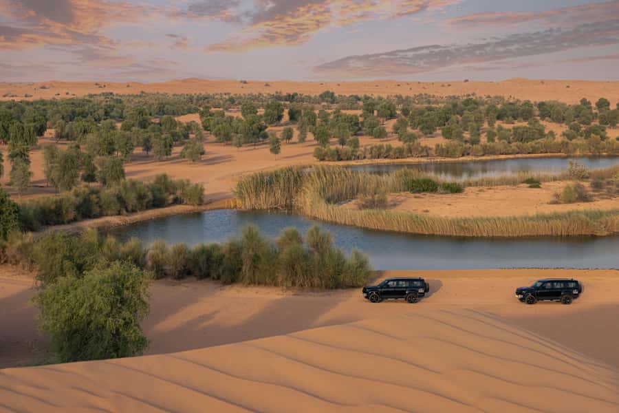 Dubai: Conservation Drive & Platinum Breakfast - The Land Rover Defender Conservation Drive: Wildlife Viewing With Less Noise
