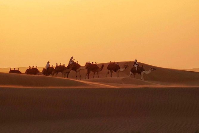 Dubai Desert 4x4 Safari with Camp activities & BBQ Dinner - 4x4 Dune Bashing: 30 Minutes of Controlled Chaos