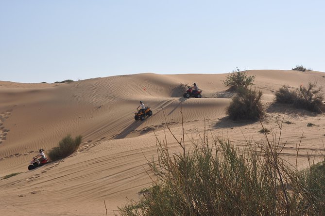 Dubai Desert Afternoon Quad Safari with Camel Ride, BBQ Dinner and Belly Dancing - Key Things I’d Plan Around