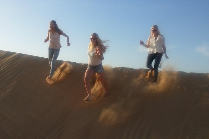 Dubai Desert Afternoon Quad Safari with Camel Ride, BBQ Dinner and Belly Dancing - Camel Farm Stop and the Mount-and-Dismount Reality Check
