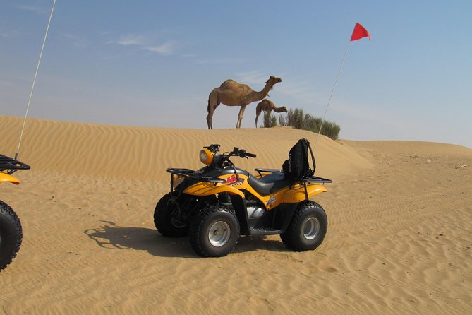 Dubai Desert Afternoon Quad Safari with Camel Ride, BBQ Dinner and Belly Dancing - BBQ Dinner and the Belly Dancing + Tanoura Show