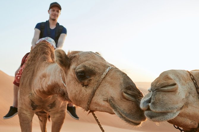 Dubai Desert Bespoke: Red Dunes Safari, Camel Ride & BBQ Options - The main show: 30–45 minutes of Red Dune dune bashing