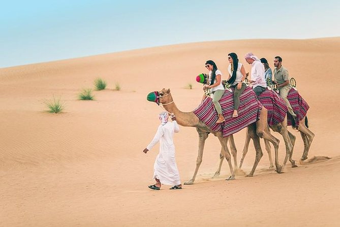Dubai Desert Red Dune Half-Day Safari Adventure and BBQ Dinner - BBQ buffet dinner: what’s included and how to eat well there