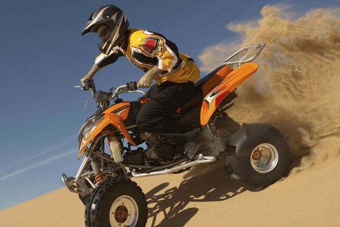 Dubai Desert Safari: 4x4 Dune Bashing, Camel Ride & BBQ Dinner - Falconry Moment: A Hands-On Cultural Touch