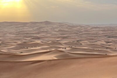 Dubai Desert Safari, Camel, Live BBQ & Shows (Private 4x4 Car) - Dune Bashing, Sandboarding, and Photo Stops: What Fills the Midday