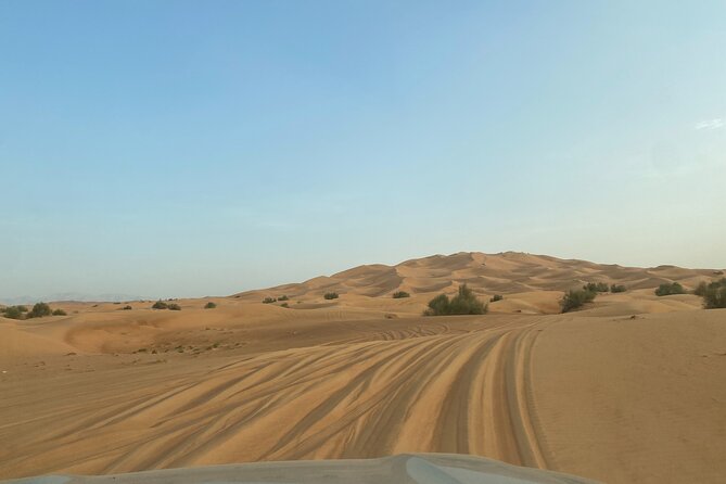 Dubai Desert Safari, Camel, Live BBQ & Shows (Private 4x4 Car) - Should You Book This Dubai Desert Safari Private 4x4?