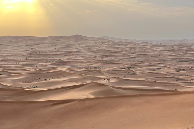 Dubai Desert Safari, Camel, Live BBQ & Shows (Private 4x4 Car) - Dune Bashing, Sandboarding, and Photo Stops: What Fills the Midday