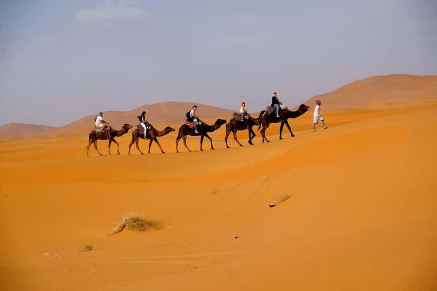Dubai: Desert Safari, Camel Ride, and BBQ Dinner - BBQ Dinner Under the Night Sky: Food, Soft Drinks, and the Show Pairing