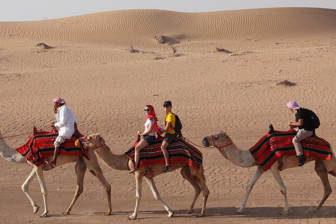 Dubai Desert Safari, Camel Ride, Refreshment & Quad Bike Option - Dune Bashing: The Roller-Coaster Segment