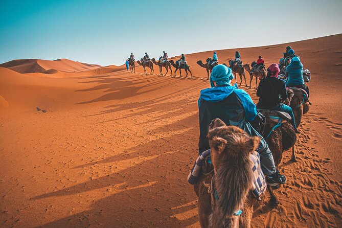 Dubai Desert Safari Camel Ride Sand Boarding BBQ Dinner - Desert safari flow: how the timing and stops work