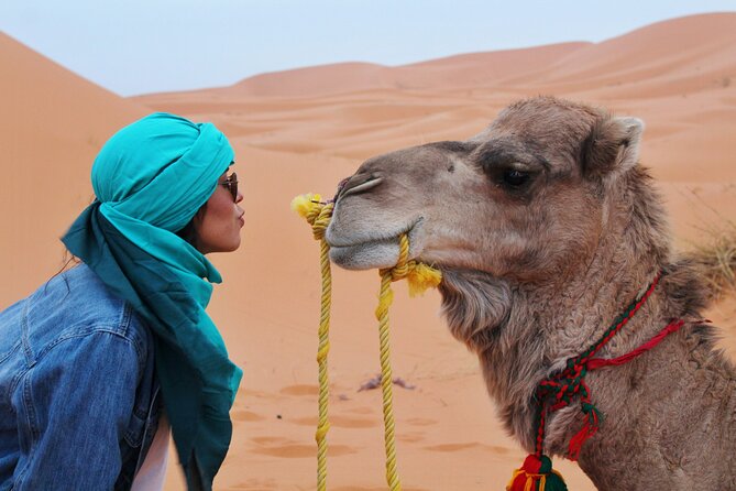 Dubai Desert Safari Camel Ride Sand Boarding BBQ Dinner - Live shows at the camp: what you’ll likely see