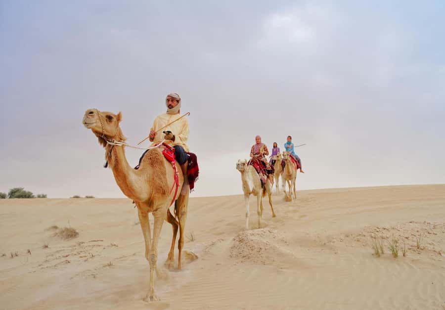 Dubai: Desert Safari, Camel Ride, Sandboard & Buffet Dinner - Key things to know before you go