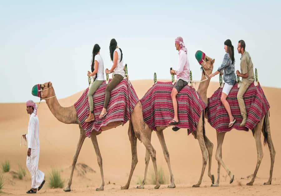 Dubai: Desert Safari, Camel Ride, Sandboard & Buffet Dinner - Price and value: is $28 for 7 hours actually fair?