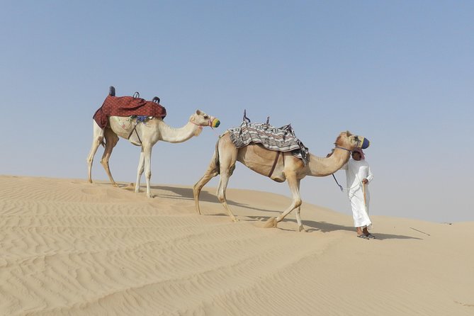 Dubai Desert Safari Dune Bashing, 60min ATV Quad, Camel Ride, BBQ - Majlis Bedouin camp: activities that turn a dinner into an evening