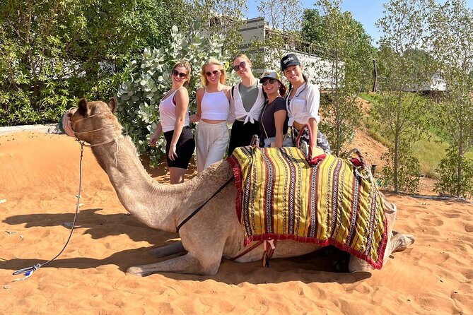 Dubai Desert Safari: Dune Bashing, Camel Ride & BBQ Dinner - The Guide Factor: When Service Makes or Breaks the Night