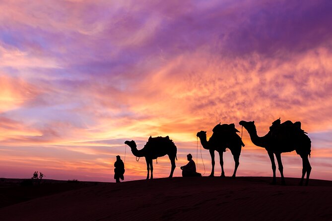 Dubai Desert Safari Dune Bashing, Camel Ride, Sand Boarding, BBQ Dinner. - Sunset Photography, Arabic Costume, and Henna That Actually Gets Used