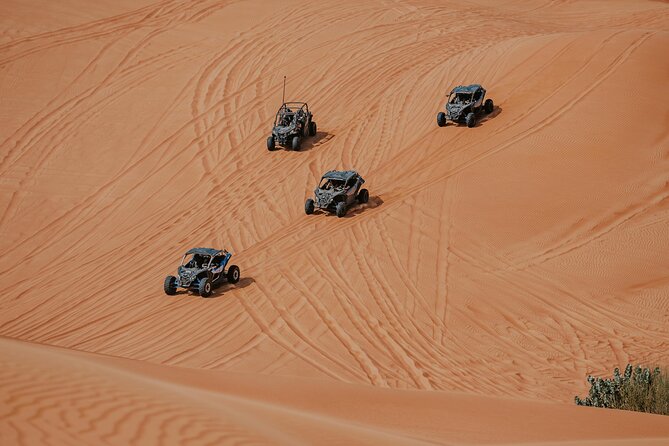 Dubai Desert Safari Dune Bashing, Camel Ride, Sandboarding & BBQ - Who should book this desert safari (and who should reconsider)
