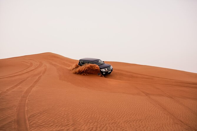 Dubai Desert Safari: Experience the Best of the Arabian Desert - Price and value: what $65.13 buys you in Dubai desert terms