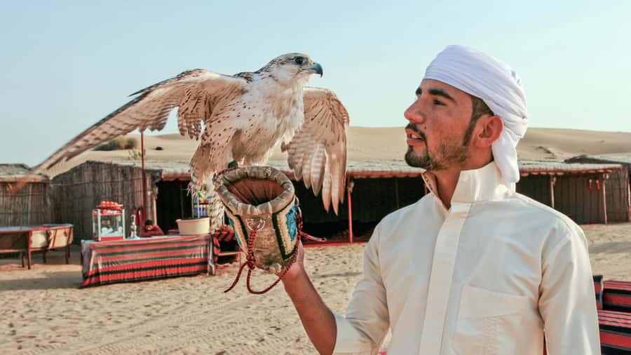 Dubai Desert Safari - Premium BBQ Dinner, Camel Ride & Shows - Camel ride and the highest-dune photo stop: small time, big payoff