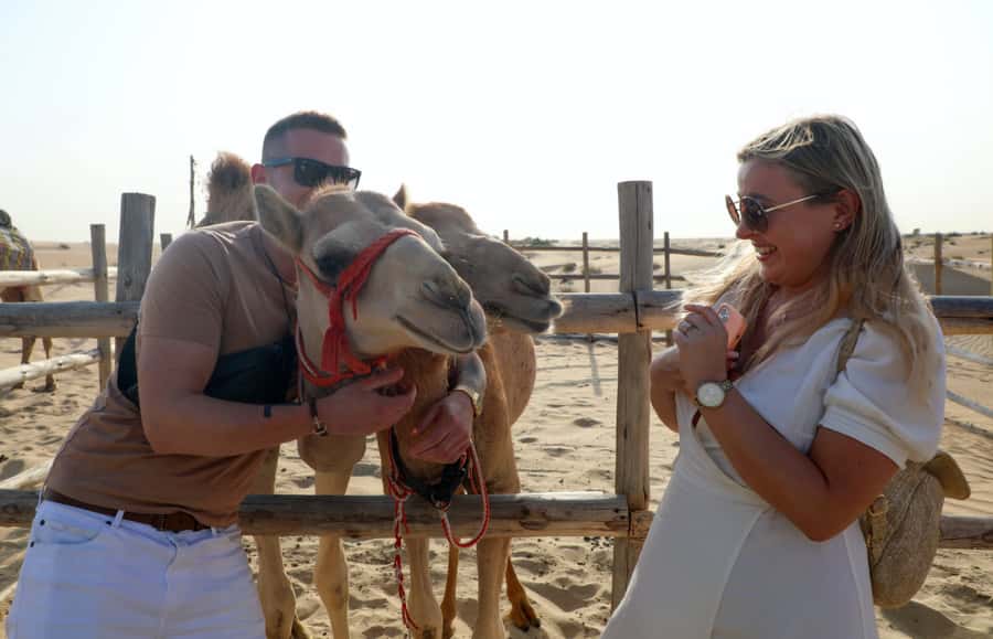 Dubai: Desert Safari, Quad Bike, Sandboarding, Camels & BBQ - Price and Value: Is Around $44 Really Fair?