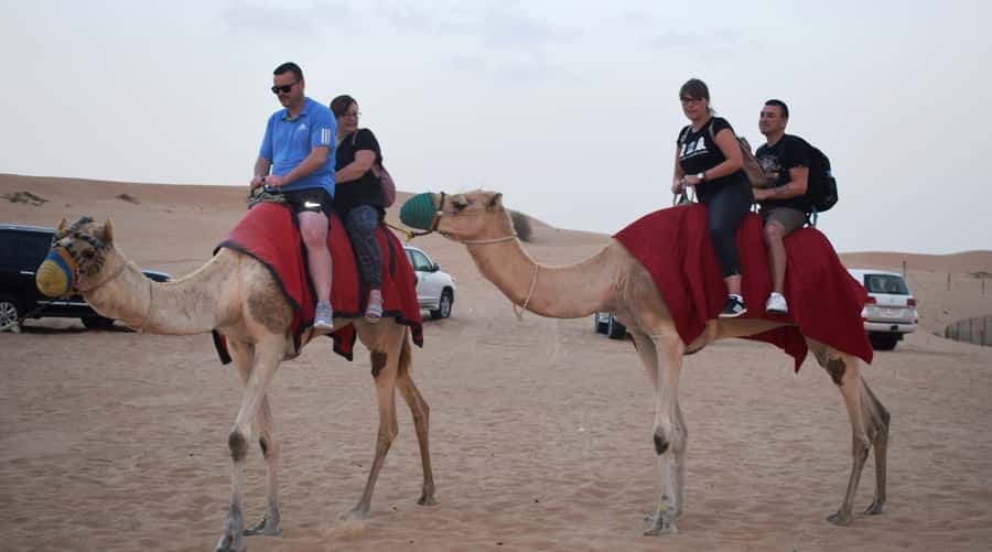 Dubai Desert Safari, Quad Biking, Camel Ride, & Sandboarding - BBQ Dinner: What You Actually Get and How to Approach It