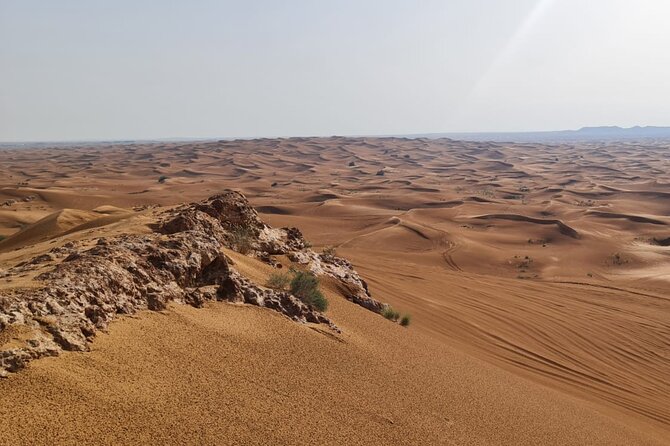 Dubai Desert Safari Sand board Camel Ride & Quad Bike - Dune Bashing and the Top-of-Dunes Photo Stop