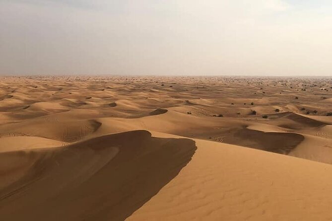 Dubai Desert Safari Sharing with Quad, Shows, Camel and Dinner - Pickup at 2:30 pm: The Timing That Makes the Desert Feel Right