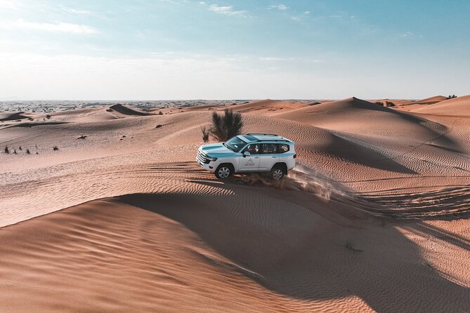 Dubai Desert Safari Thrill: Camel Ride, Live shows, BBQ & Spirits - Sunset at the highest point: when the dunes turn gold