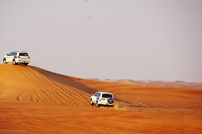 Dubai Desert Safari with BBQ, 3 Shows & Camel Ride at Majlis Camp - BBQ Dinner at Majlis: What You’ll Eat and How to Make It Work for You
