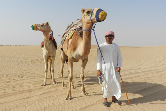 Dubai Desert Safari with BBQ, 3 Shows & Camel Ride at Majlis Camp - Who Should Book This Safari (and Who Might Choose Another Option)