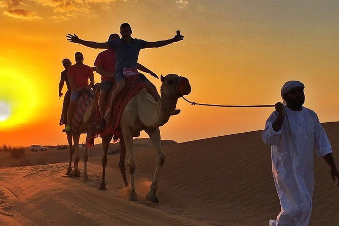 Dubai Desert Safari with BBQ And 4W Land Cruiser Dune Bashing Experience - Price and value: is $42 a smart deal?