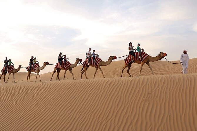 Dubai: Desert Safari with BBQ Dinner - First, Know What You’re Booking: Dubai Safari Energy