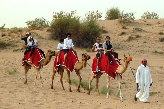 Dubai Desert Safari with BBQ Dinner Pickup from Ras Al Khaimah - Belly dance, Tanoura, and fire show: what your night entertainment depends on