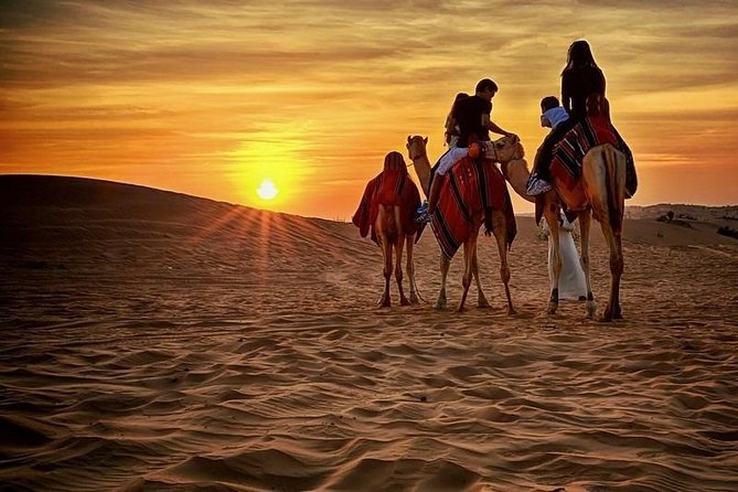 Dubai Desert Safari With BBQ, Quad Bike And Camel Ride - Value check: is it worth $70?