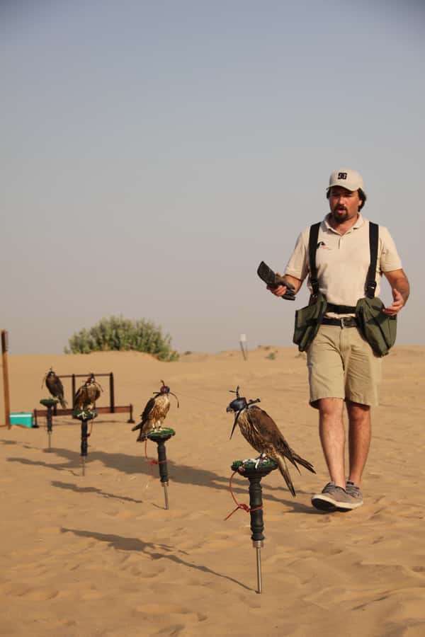 Dubai Desert Safari with Burj Khalifa (Ticket Only) - Desert drive and camel farm: the fun parts (plus motion sickness reality)