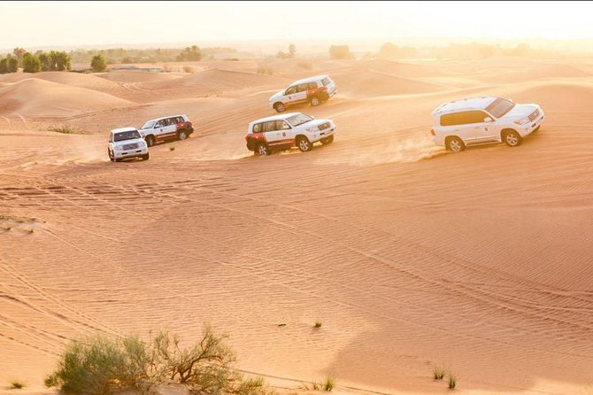 Dubai Desert Safari with Burj Khalifa - Ticket Only with No transfer to Burj Khalifa - - Price and logistics: why ticket-only matters (and how to plan it)