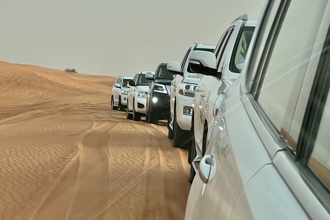 Dubai Desert Safari with Camel Ride, Sand surf, & BBQ Dinner - BBQ Dinner and International Buffet: Where the Value Lands