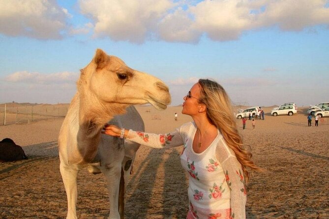 Dubai Desert Safari with Camel Riding, Sand Boarding,BBQ Dinner and 3 Live Shows - Getting From Dubai to Al Awir: Pickup Comfort and the Timing Reality