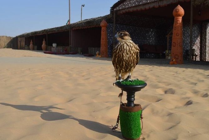 Dubai Desert Safari with Camel Riding, Sand Boarding,BBQ Dinner and 3 Live Shows - BBQ Dinner With Unlimited Soft Drinks: What the Evening Actually Tastes Like
