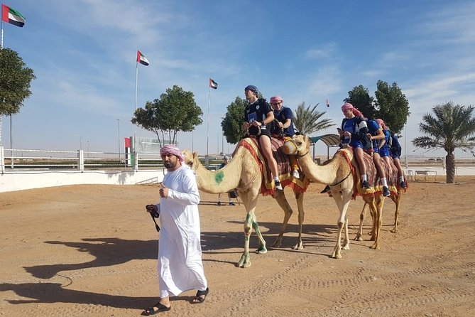 Dubai Desert Safari with Camel Riding, Sand Boarding,BBQ Dinner and 3 Live Shows - The 3 Live Shows: Belly Dance, Tanoura, and Fire (and Possible Night-to-Night Changes)