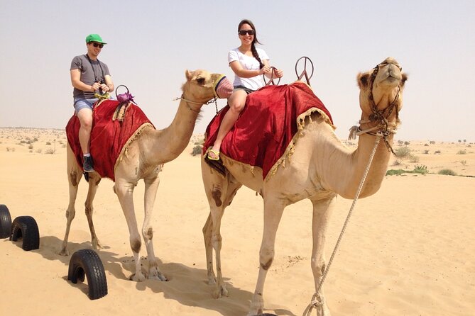 Dubai Desert Safari with Dinner, Camel Ride & Dune Bashing - Picking Up in Dubai or Sharjah, Then Straight Into the Red Dunes