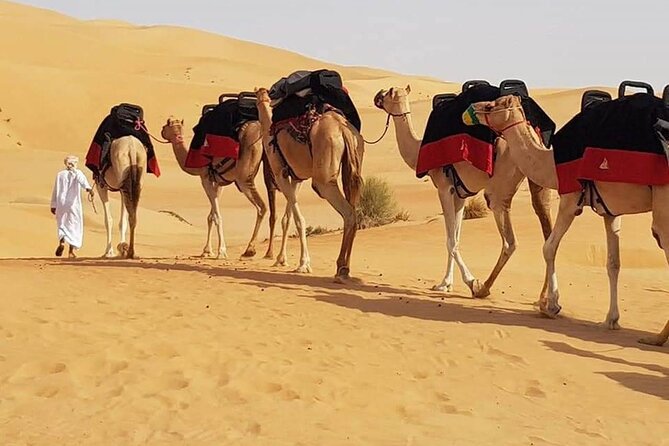 Dubai Desert Safari with Dune Bashing, Camel Ride, & BBQ Dinner - Dune bashing in a 4x4: thrill, timing, and the safety reality