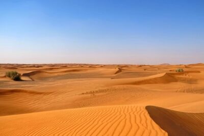 Dubai Desert Safari with Dune Bashing, Camel Rides & BBQ - Dune bashing and sunset photo stop in a 4WD