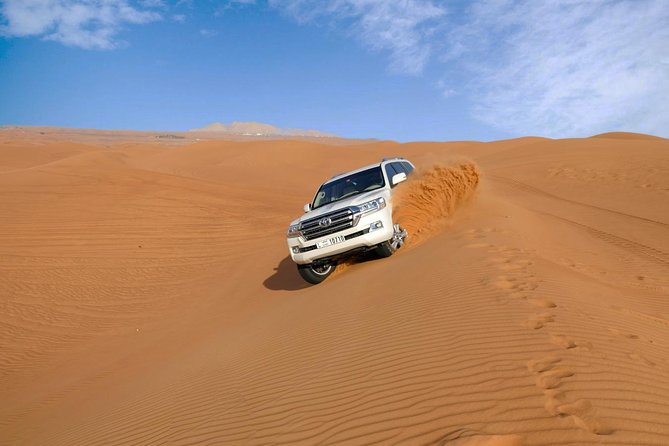 Dubai Desert Safari with Dune Bashing, Camel Rides & BBQ - Sandboarding and falconry demo: two skills you feel, not just watch