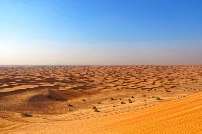 Dubai Desert Safari with Dune Bashing, Camel Rides & BBQ - What to know before you go (so the evening feels easy)