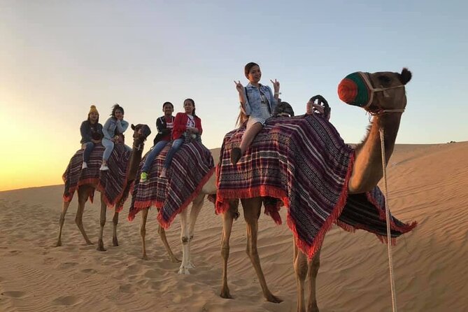 Dubai Desert Safari with Dune Bashing , Dinner Buffet & Entertainments - Price and Value: What You Get for About $52