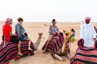 Dubai Desert Safari with Quads, BBQ Dinner, Camel ride, & Shows - Dune Bash in a 4x4: What’s Thrilling and What’s Risky
