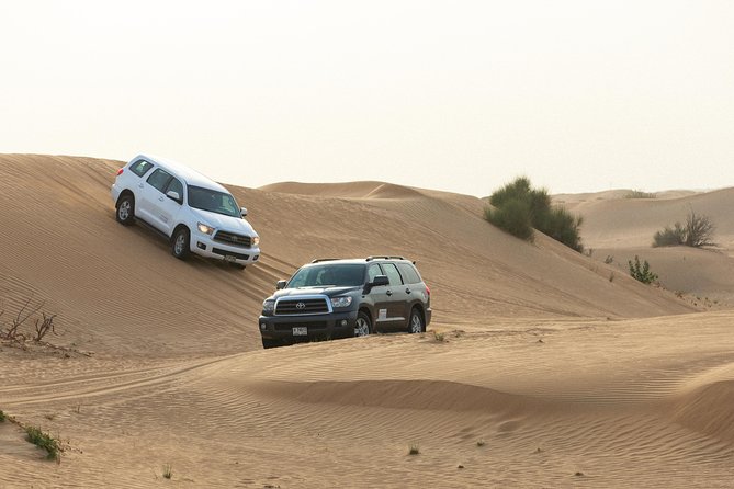 Dubai Desert Safari with Quads, BBQ Dinner, Camel ride, & Shows - Belly Dancing and Tanoura: The Show Part That’s Worth Waiting For