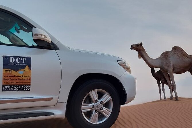 Dubai Desert Safari With Sandboarding & Camel Riding - Getting there and back from Dubai: your 6 hours in real terms